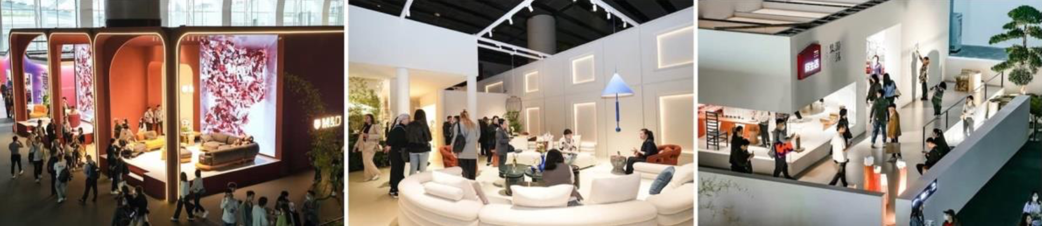 ����2025-02-25